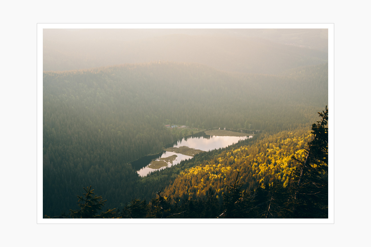 Max Schiefele Alle Bilder  DS20245